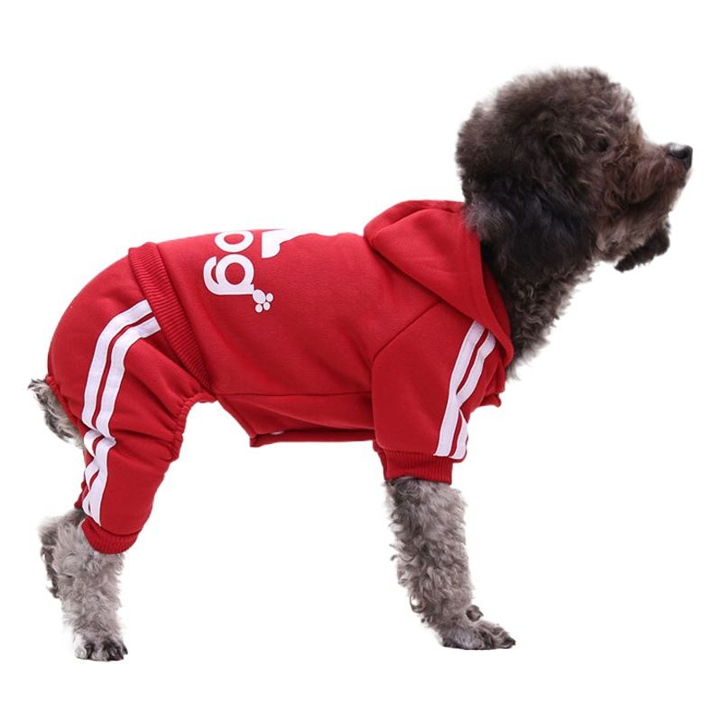 Shine Pet Dog Cat Clothes Sweatshirt four-legged adog sweatshirt yellow XS (back length 20CM)