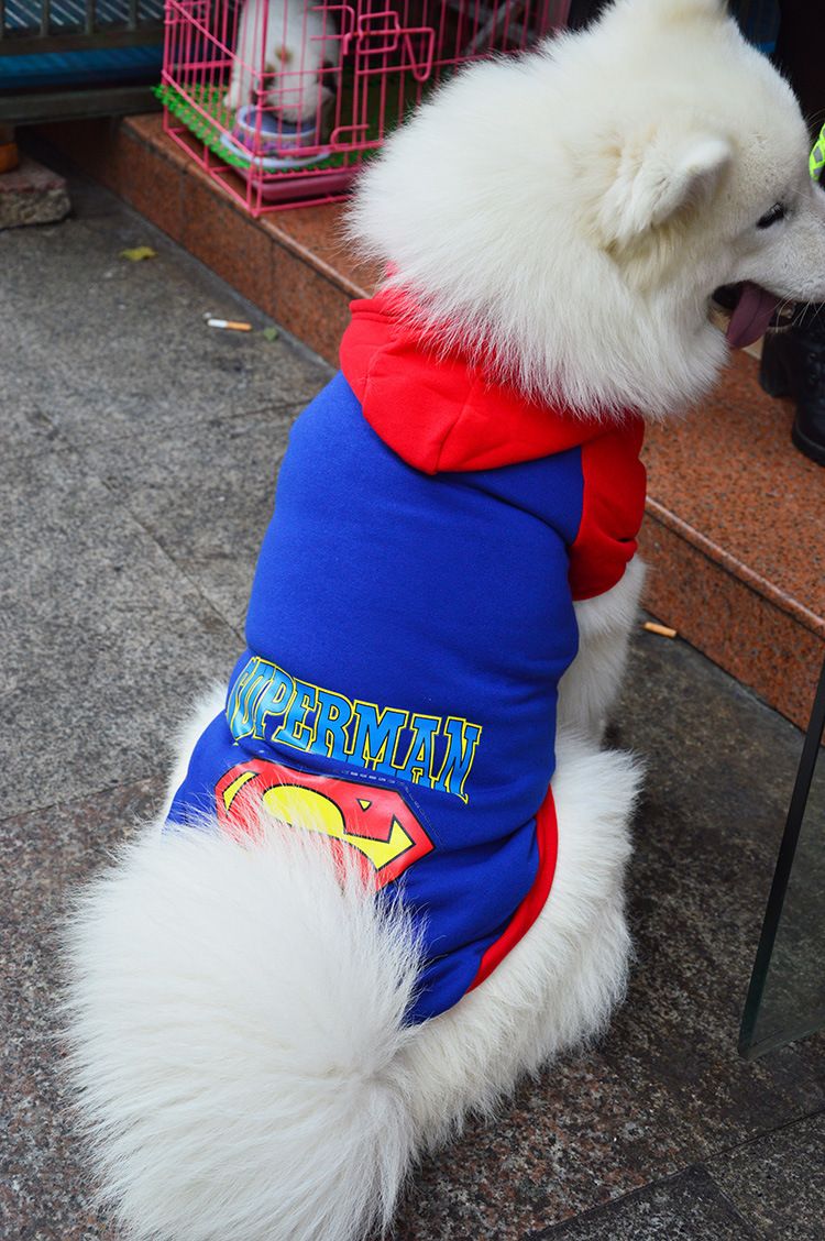 Pet Hoodie Sweatshirt Shine Superman Cotton Hooded Superman Blue 6XL (Bust 74CM)