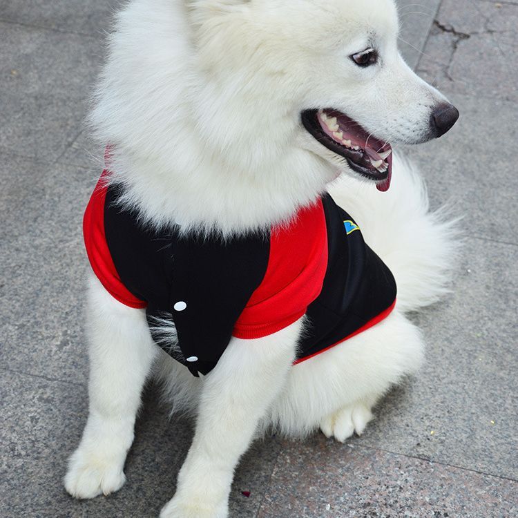 Pet Hoodie Sweatshirt Shine Superman Cotton thin two-legged superman black XS (Bust 27CM)