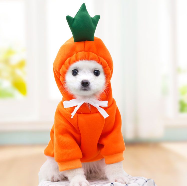 Shine Pet Dog Sweatshirt Heart Design Cloth Drawstring Carrot Sweat M (bust 44CM about 3.00 kg-4.50 kg pets)