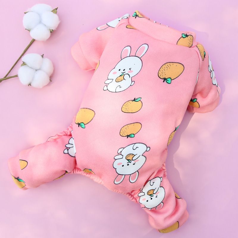 Shine Polyester Four Leg Dog Cat Pet Clothes 016D Four-Leg Pants Yellow Bottom Rainbow Dragon XS (back long 20cm 0.50 kg-1.50 kg pet)