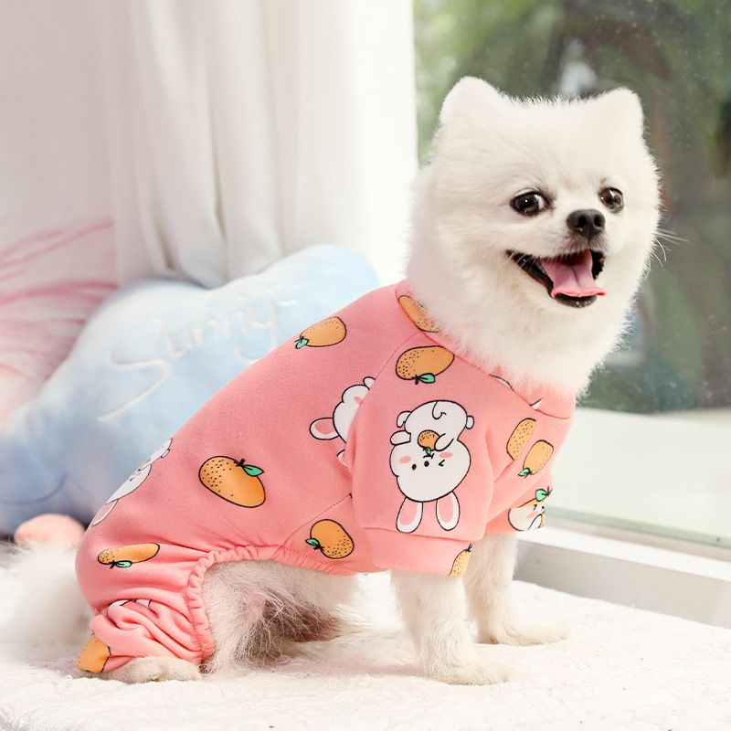Shine Polyester Four Leg Dog Cat Pet Clothes 016D Four-Leg Pants Yellow Bottom Rainbow Dragon XS (back long 20cm 0.50 kg-1.50 kg pet)