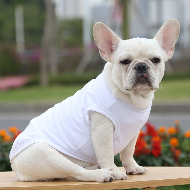 Cotton Pet Vest Dog Cat Clothing Small Large Pure cotton vest pure white 2XL bust 55 back length 42cm
