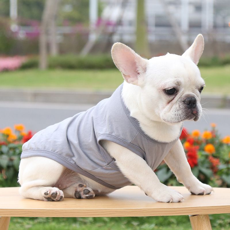 Cotton Pet Vest Dog Cat Clothing Small Large Pure cotton vest pure gray 2XL bust 55 back length 42cm