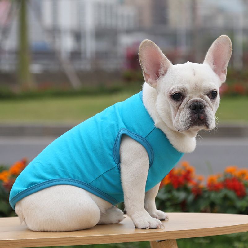 Cotton Pet Vest Dog Cat Clothing Small Large Pure cotton vest pure lake blue 2XL bust 55 back length 42cm