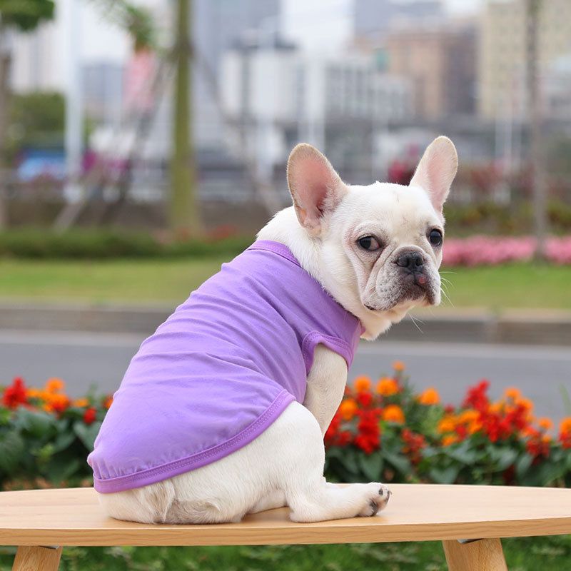Cotton Pet Vest Dog Cat Clothing Small Large Pure cotton vest pure purple 4XL bust 70 back length 50cm