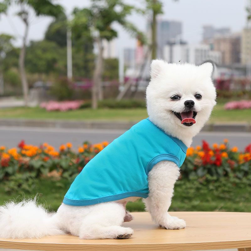 Cotton Pet Vest Clothing for Dogs and Cats by shine Pure cotton vest pure lake blue L bust 45 back length 32cm