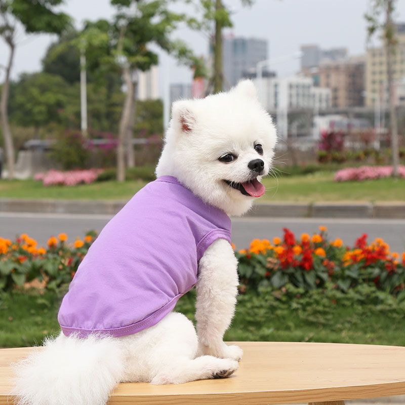 Cotton Pet Vest Clothing for Dogs and Cats by shine Pure cotton vest pure purple XL bust 50 back length 37cm