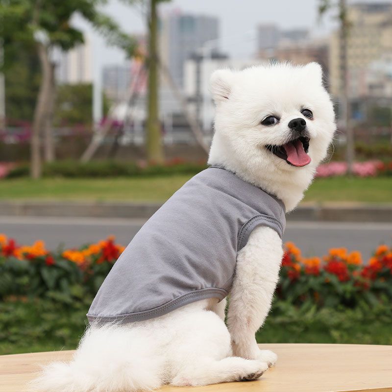 Cotton Pet Vest Clothing for Dogs and Cats by shine Pure cotton vest pure gray XL bust 50 back length 37cm