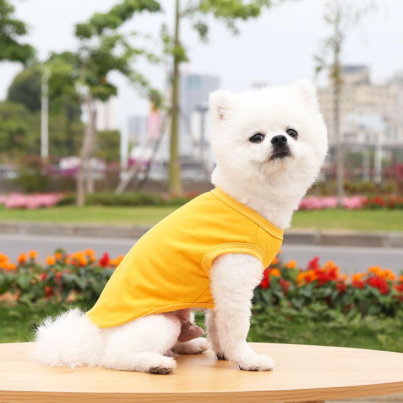 Cotton Pet Vest Clothing for Dogs and Cats by shine Pure cotton vest pure yellow XL bust 50 back length 37cm