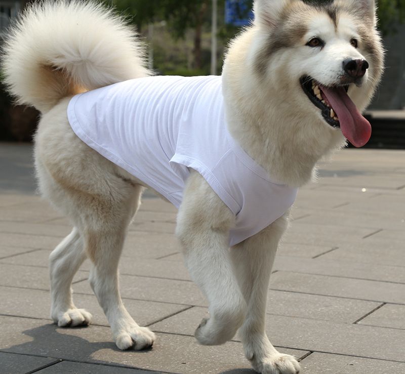 Cotton Pet Vest for Dogs and Cats Pure cotton vest pure white L bust 45 back length 32cm