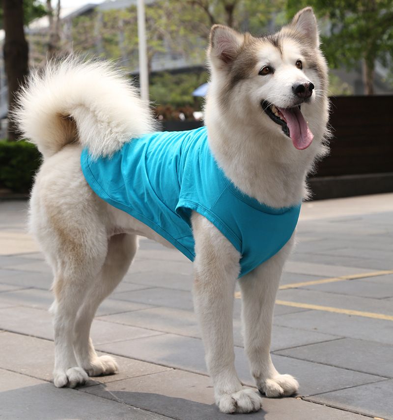 Cotton Pet Vest for Dogs and Cats Pure cotton vest pure lake blue XS bust 30 back length 17cm