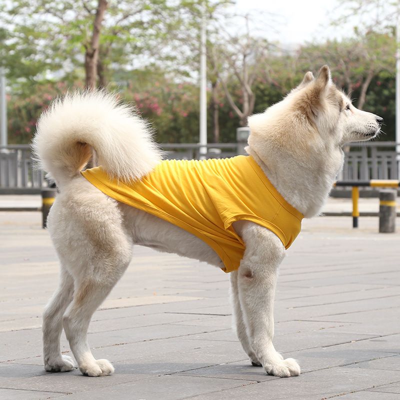 Cotton Pet Vest for Dogs and Cats Pure cotton vest pure yellow XS bust 30 back length 17cm