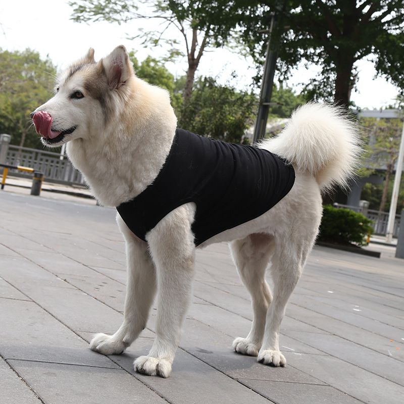 Cotton Pet Vest for Dogs and Cats Pure cotton vest pure black M chest circumference 40 back length 27cm