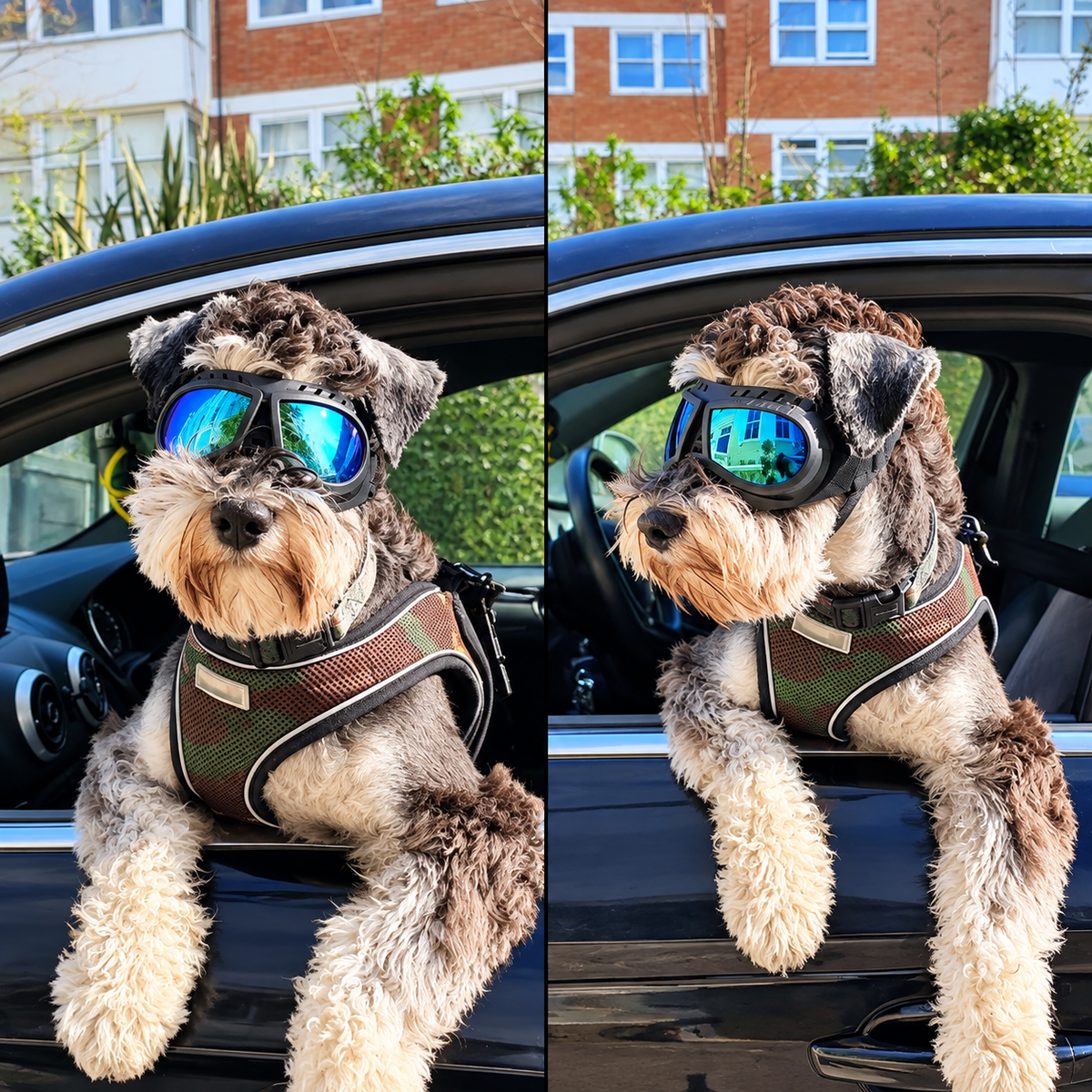 Small Dog Goggles with Soft Frame and Adjustable Strap, Colorful Coated Lens Pet Sunglasses for Car Rides Outdoor Activities Windproof Protection (Silver)