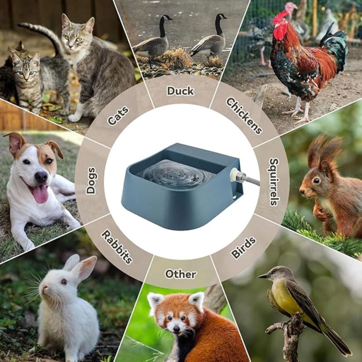Automatic Pet Water Dispenser with Floating Valve and Hose, 2L Food-Grade Bowl for Dogs Cats Chickens Rabbits and Small Animals, Indoor Outdoor Fresh Water Supply (Bowl And Water Pipe)