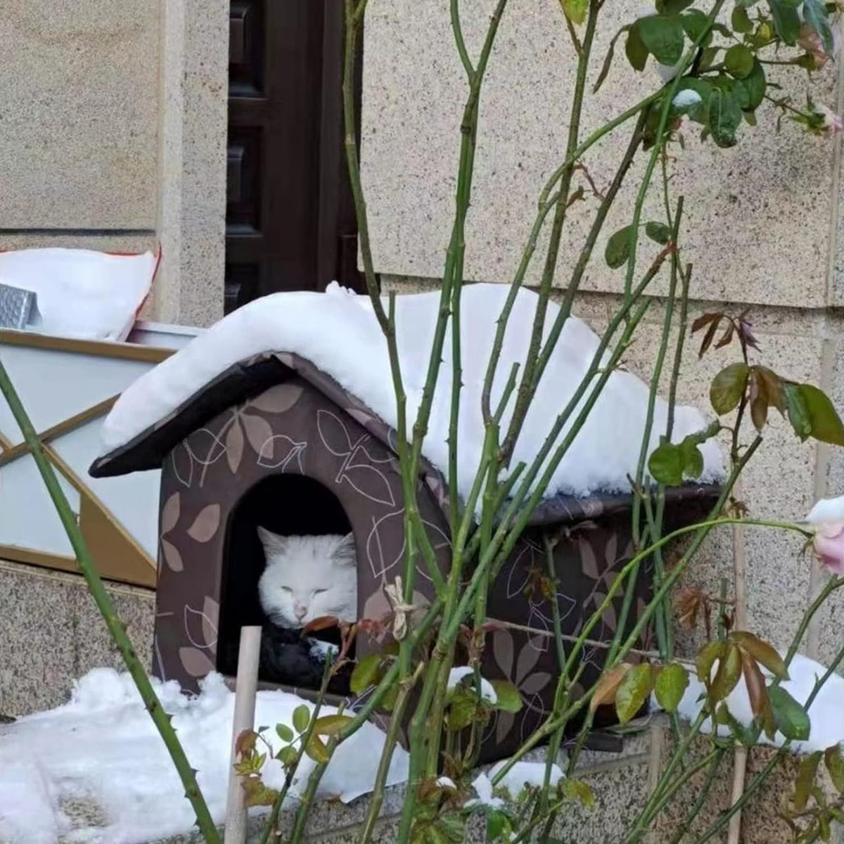 Cat Houses for Outdoor Cats,Feral Cats House,Weatherproof Warm and Insulated Cat House Stray Cats Shelter Shabby Chic,Small-Houses