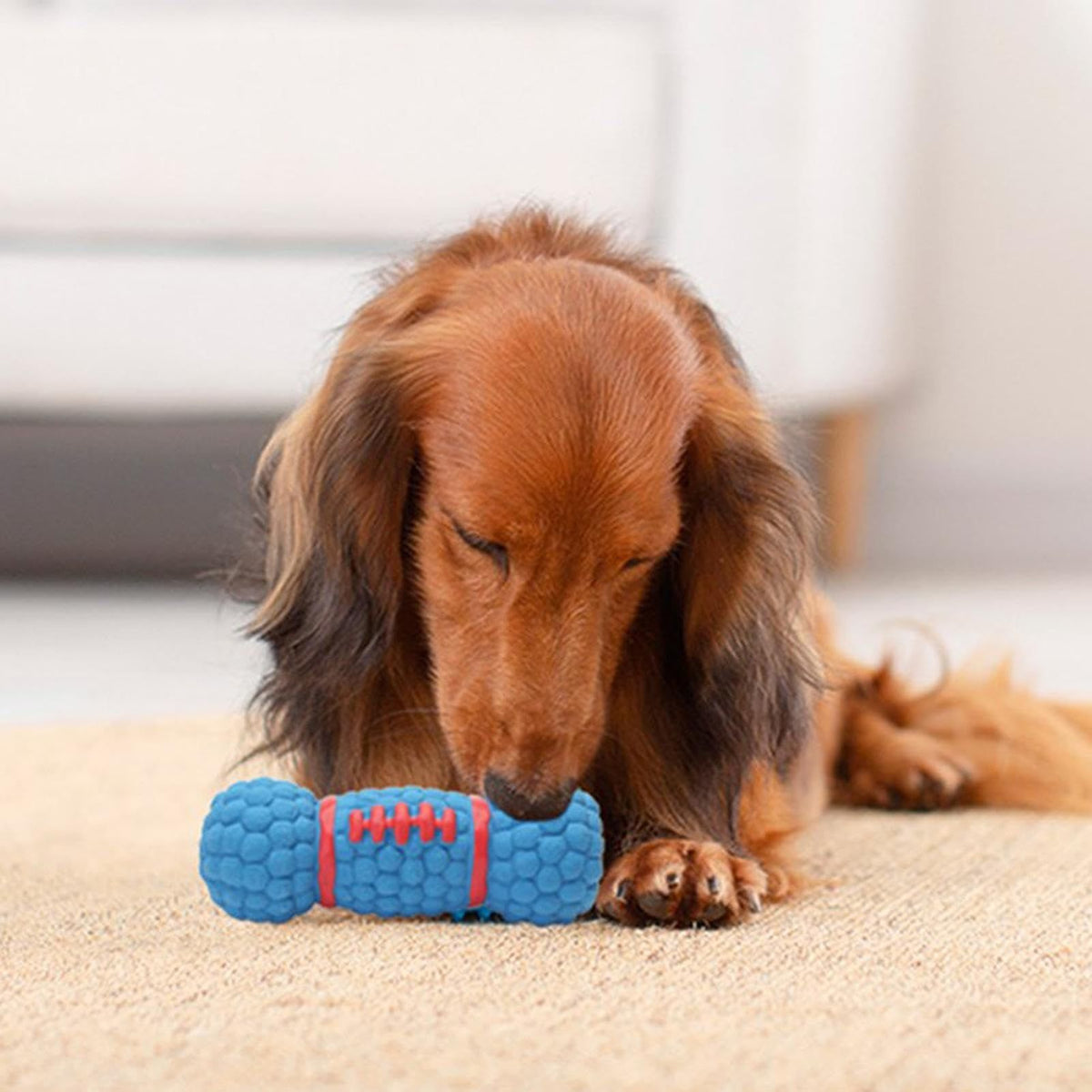 Flexible Teething Toy for Dogs with Squeaker, Promoting Pet Dentals Health for Chew Breeds Squeaks Stimulated Puppies Dogs