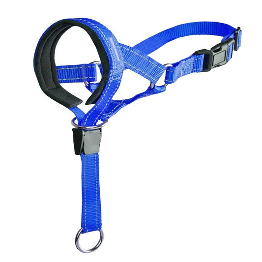 Additional product view: Adjustable Padded Dog Head Halter with Safety Link