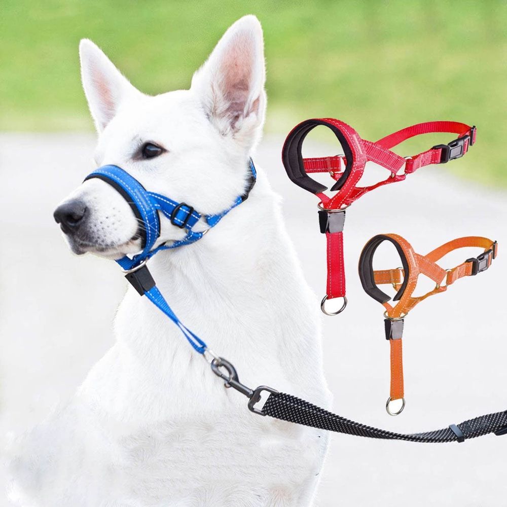 Additional product view: Adjustable Padded Dog Head Halter with Safety Link
