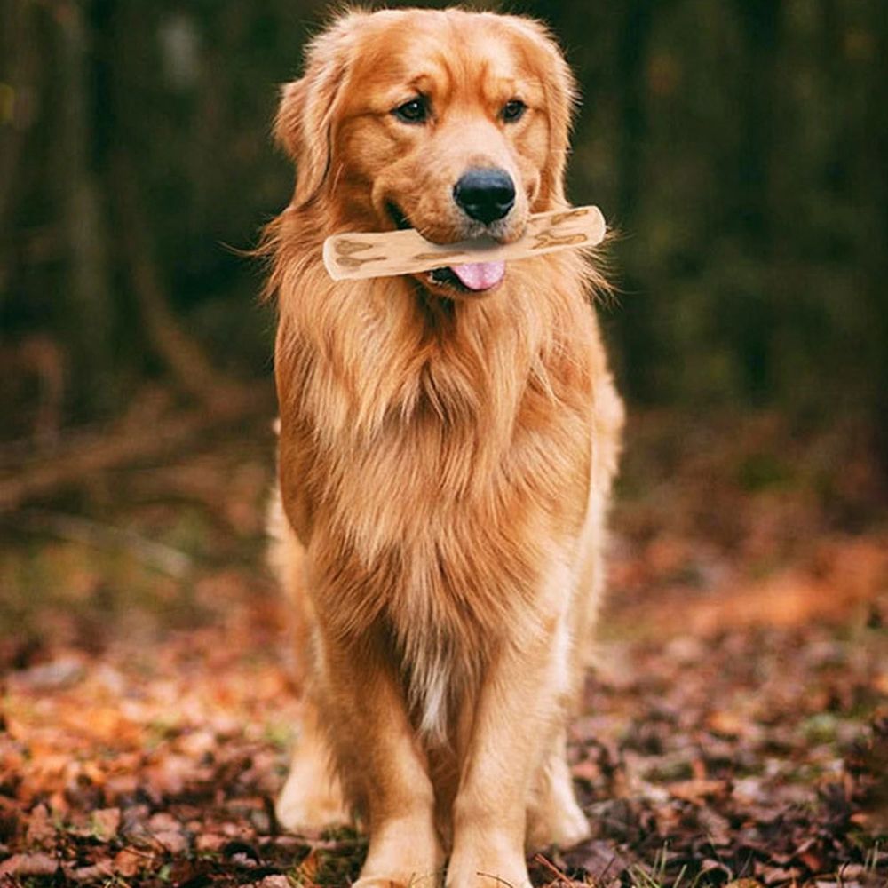 1 Pcs Dog Chew Sticks Coffee Wood Chew Toy for Dogs Safe Natural Healthy Wood Bones for Puppy Regular and Aggressive Muscle Training and Teeth Cleaning