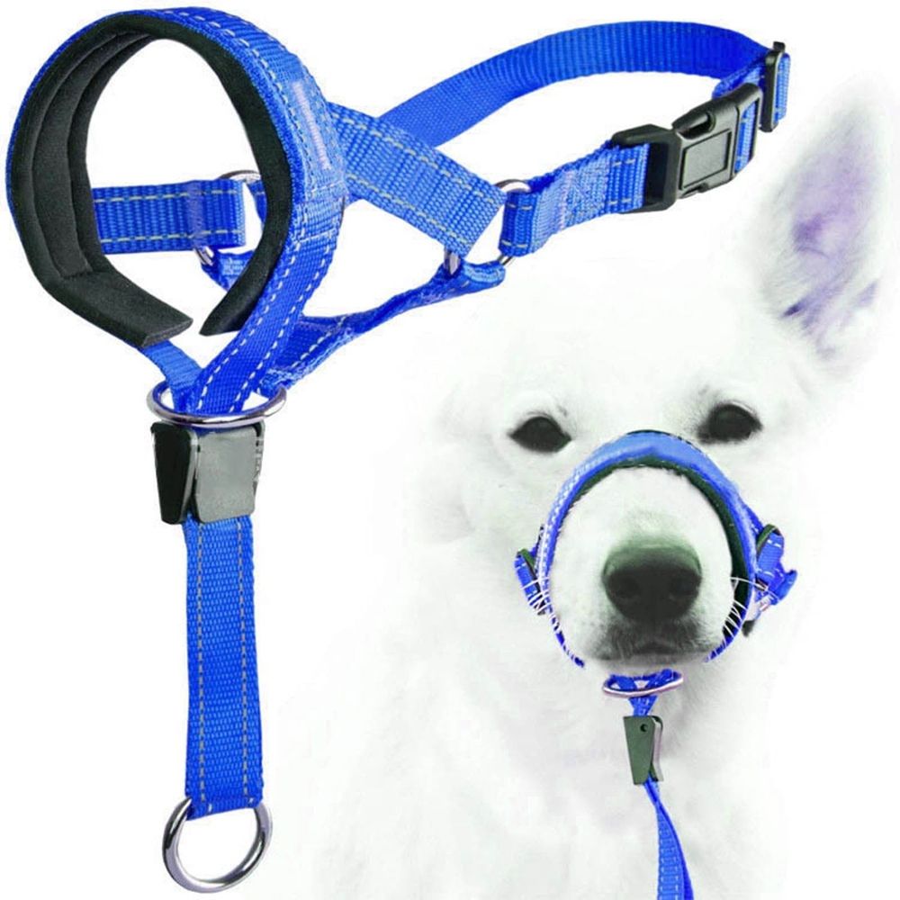 Additional product view: Adjustable Padded No-Pull Dog Head Halter
