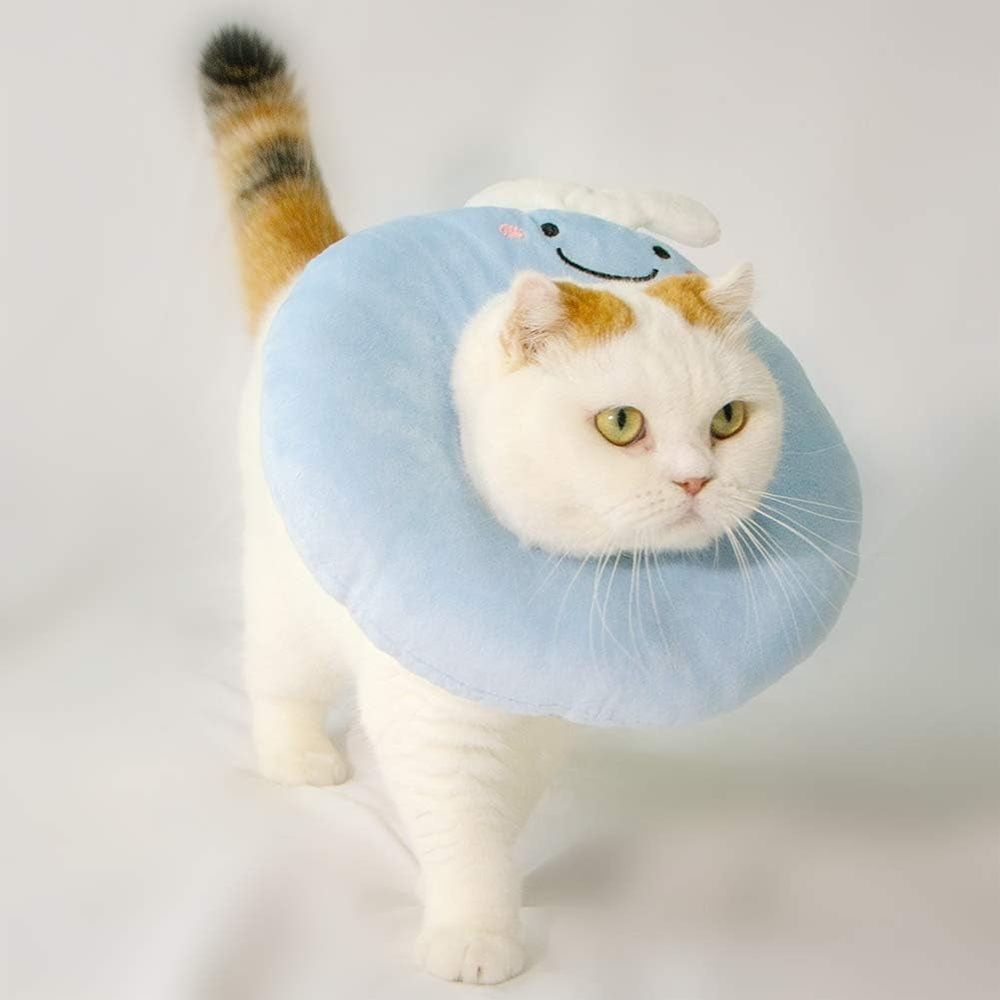 Additional product view: Soft Cat and Small Dog Recovery Cone Collar
