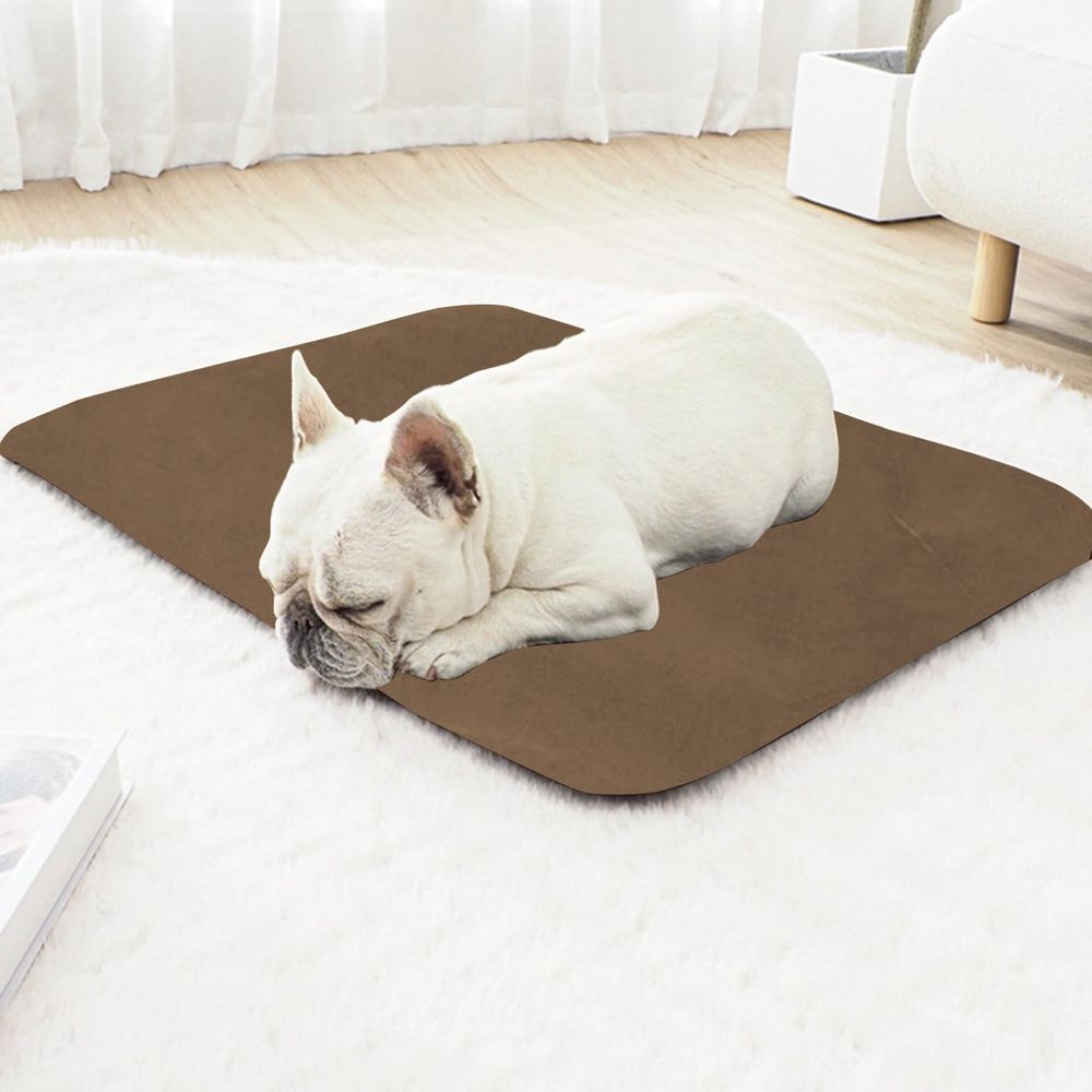 Washable Dog Bed Mat, Thickened & Warm Dog Bed for Winter, Durable Non-Toxic, Machine Washable, for Crate, Cage, and Car Travel