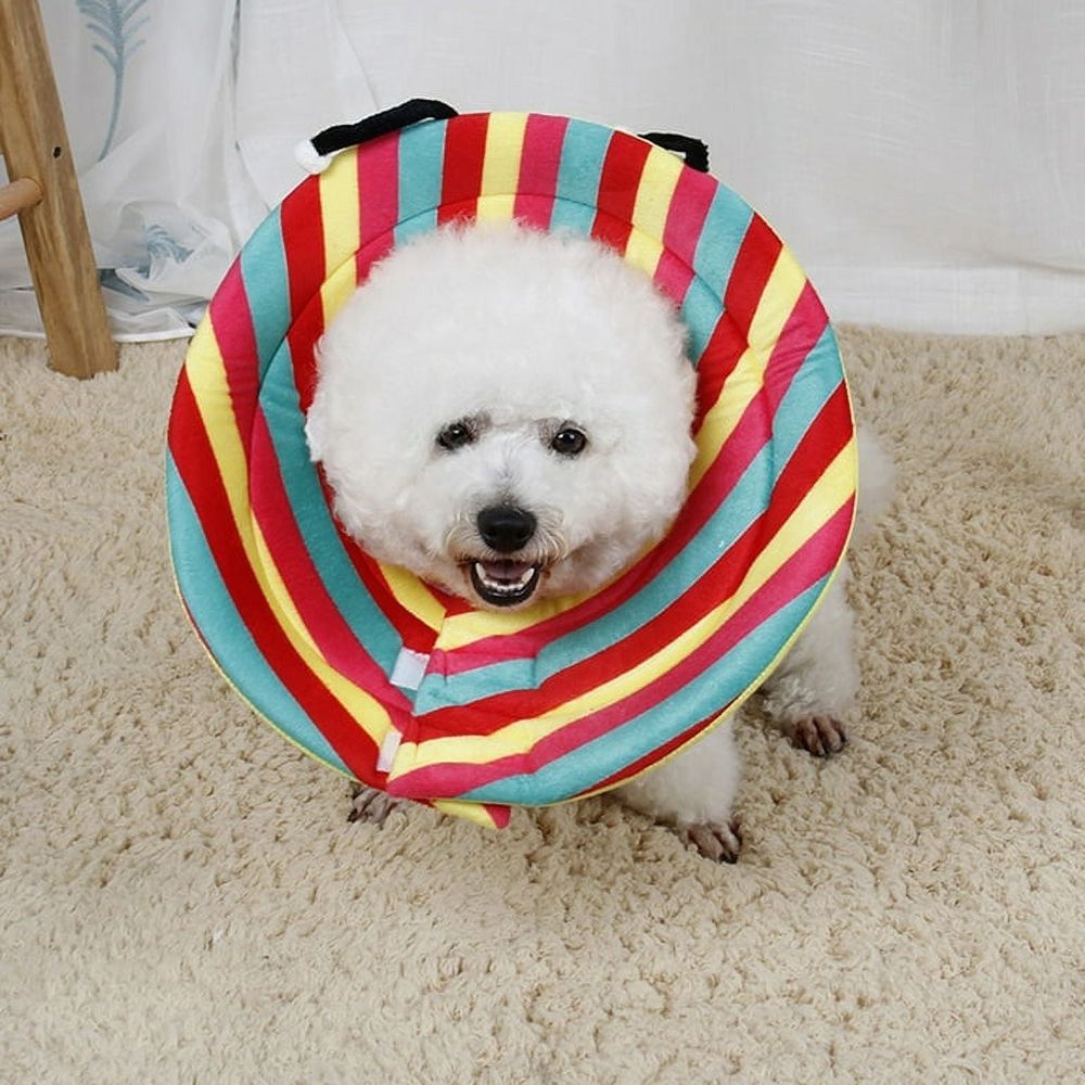 Additional product view: Frog-Shaped Soft Pet Recovery Cone Collar