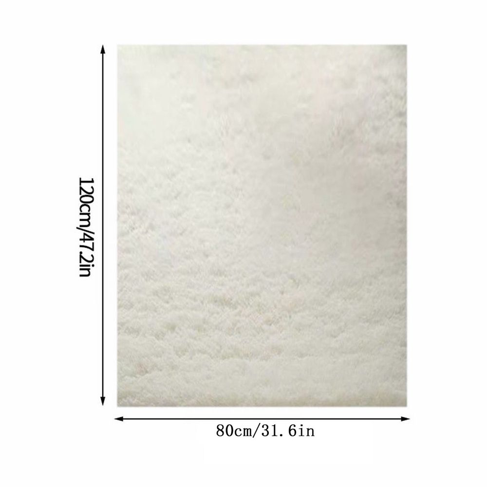 Thick Area Rug Cream White Fluffy Shag 31.2*47.2in for Girls Bedroom, Soft Plush Fuzzy Shagggy Carpet for Living Room, Thickened Washable Non-Slip Furry Rug for Kids Toddler Boys Dorm Nursery, b