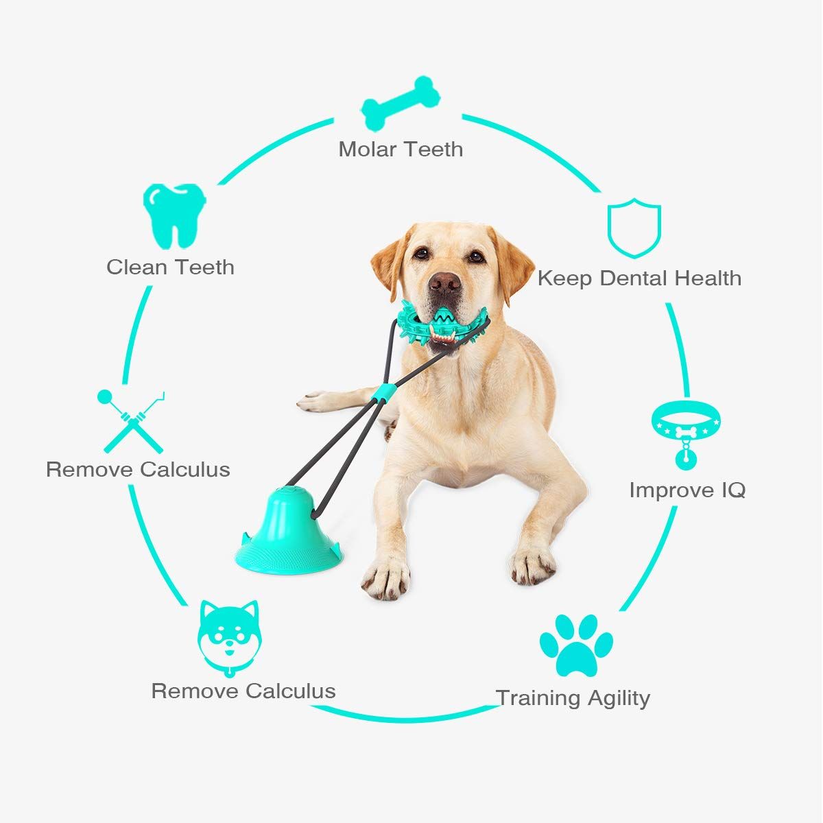 Dog Chew Toy with Suction Cup for Aggressive Chewers, Puppy Training Treats Food Dispensing Toothbrush Pet Teeth Cleaning Rope