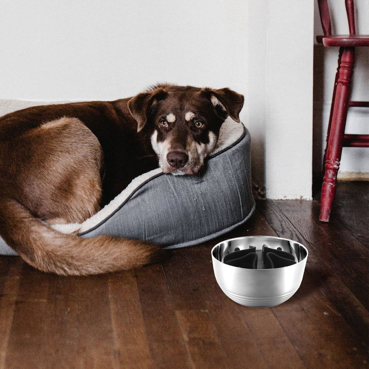 Slow Feeder Dog Bowl Insert Black for Proper Digestion and Safe Eating