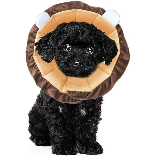 Lion-Shaped Soft Cat and Small Dog Recovery Collar shown in the product image