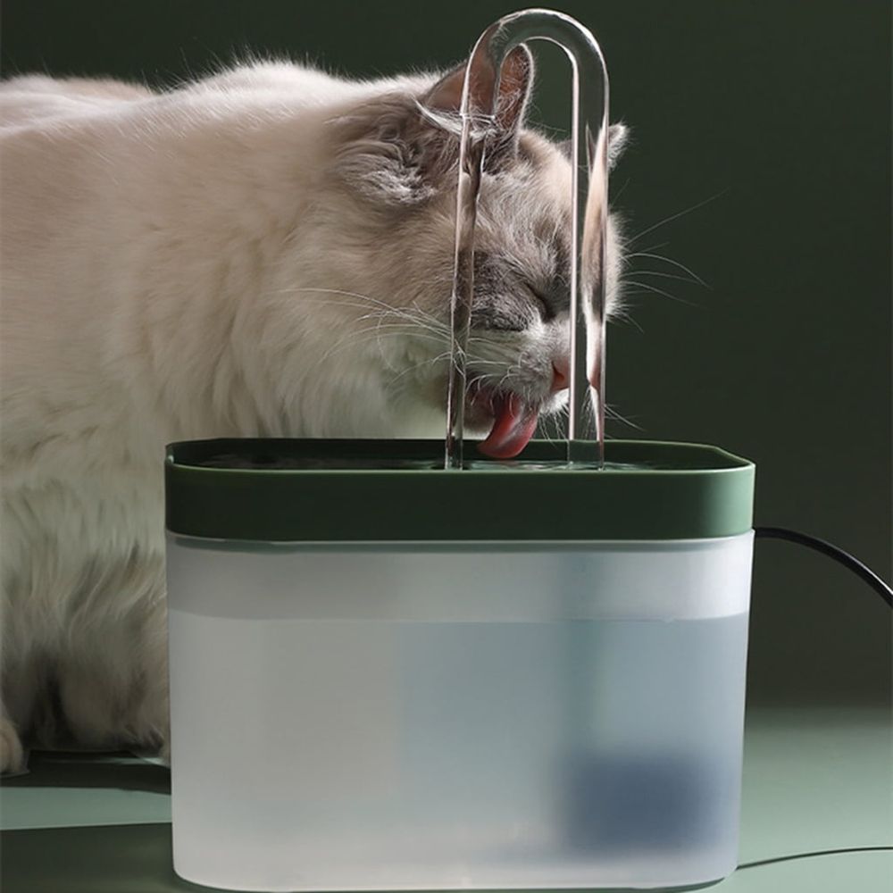 Cats Water Fountain Quiet Water Dispenser 51 OZ Automatic Drinking Bowl for Cats Dogs Small Pets Easy to C