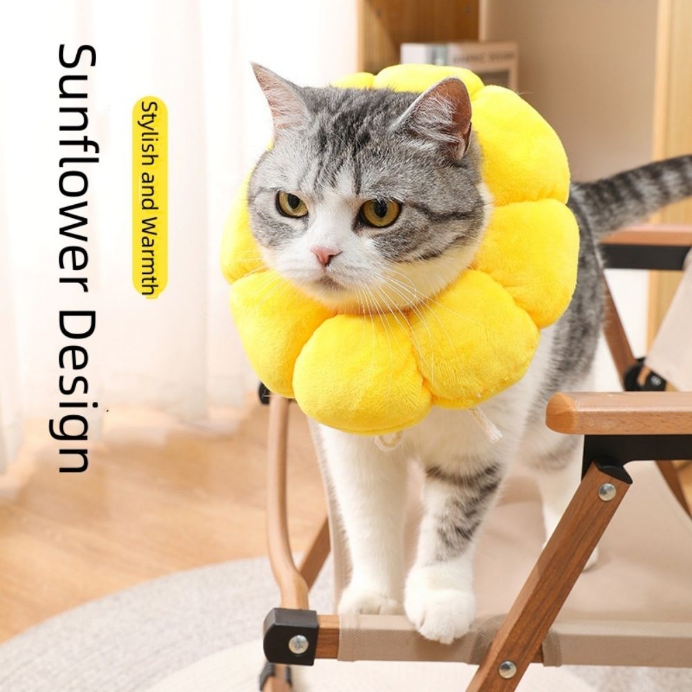 Additional product view: Sunflower-Shaped Pet Recovery Cone Collar, Large