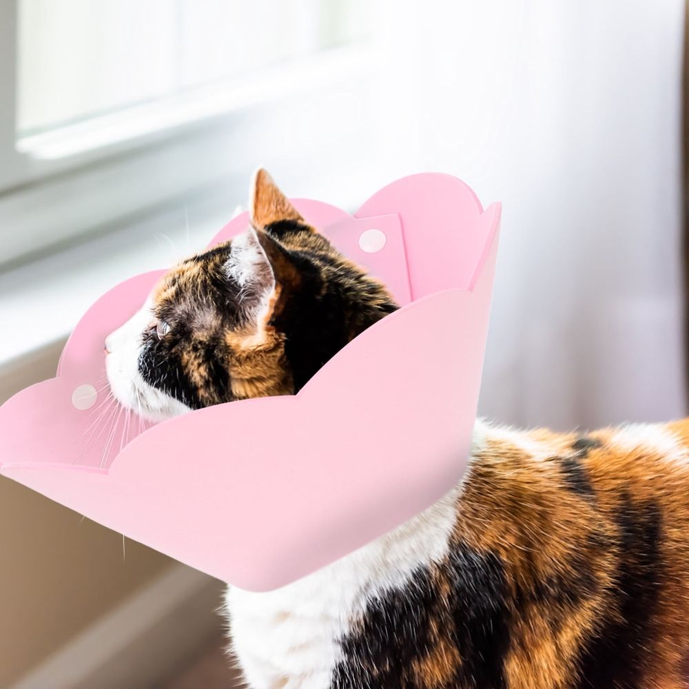 Additional product view: 3-Piece Soft EVA Pet Protective Collar Set