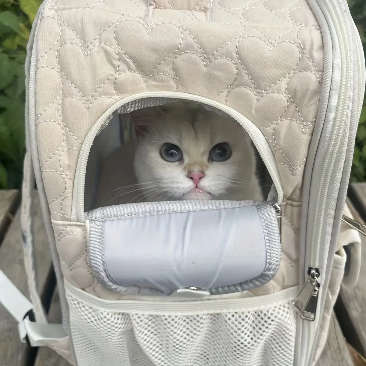 Heart Quilted Cat Backpack, Spacious & Breathable, Must-Have for Travel