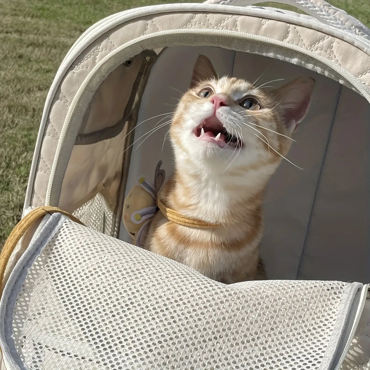 Heart Quilted Cat Backpack, Spacious & Breathable, Must-Have for Travel