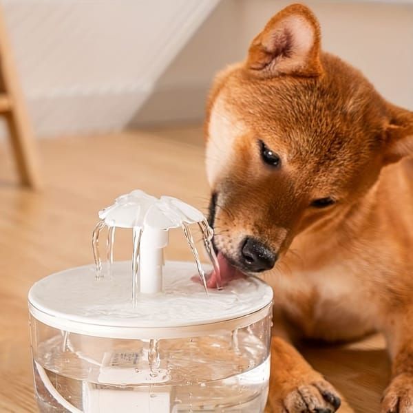 Smart Pet Fountain, Circulating Fresh Water with Visible Water Tank, Silent Dual Filtration, Water Dispenser for Cats & Small Pets