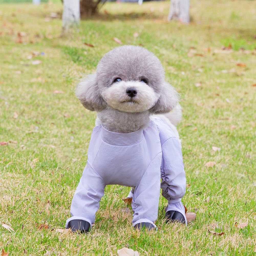 Purple Size S Four-Leg Dog Rain Suit with Paw Covers - Waterproof Pet Jumpsuit with Adjustable Fasteners for Rainy Walks, Mud and Outdoor Dirt Protection