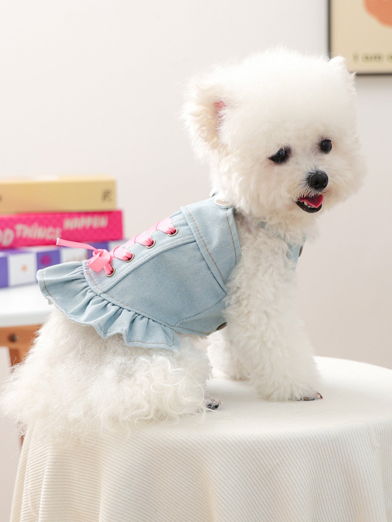 ocean denim dog dress sale Dog Summer Denim Dress