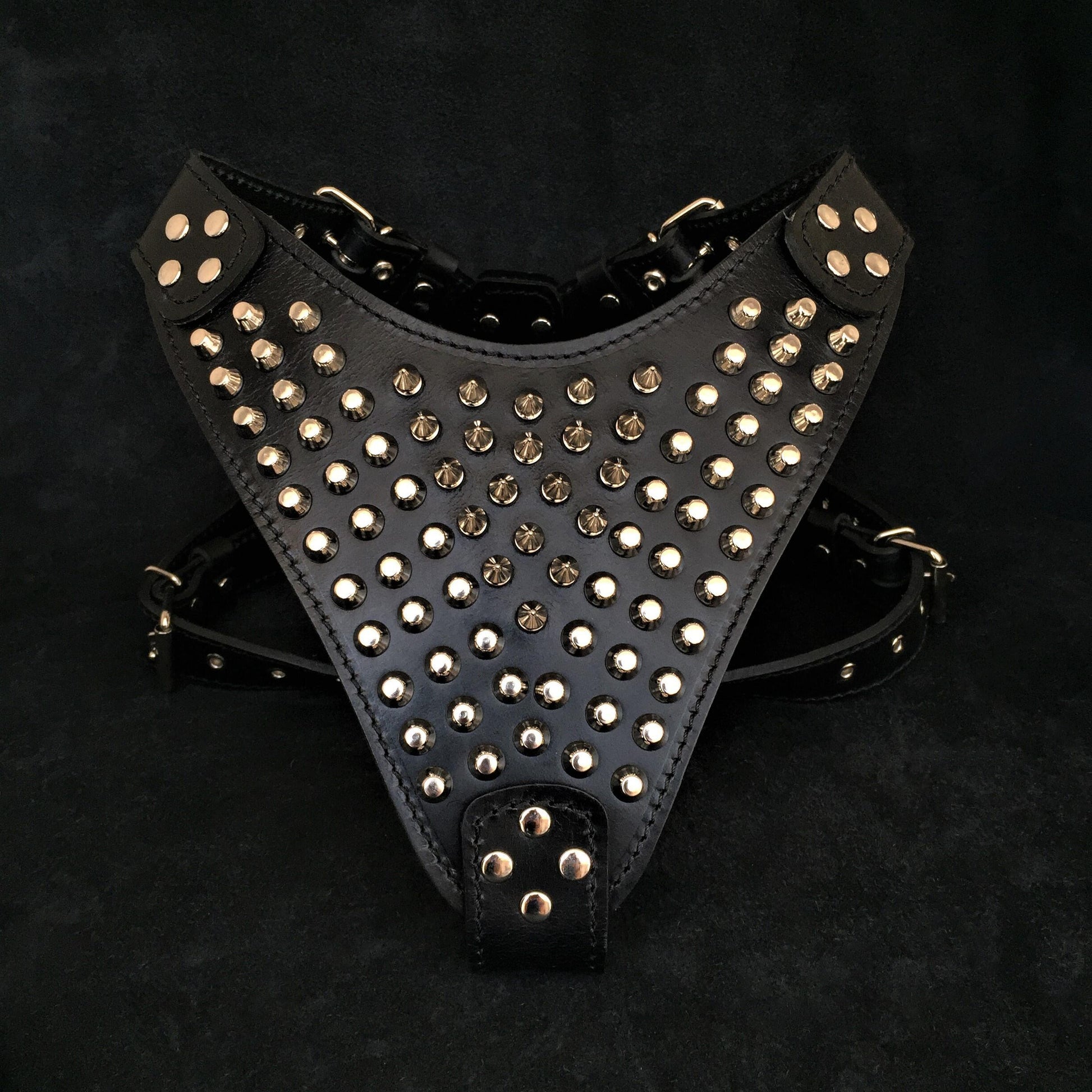 The "Gladiator" harness-0