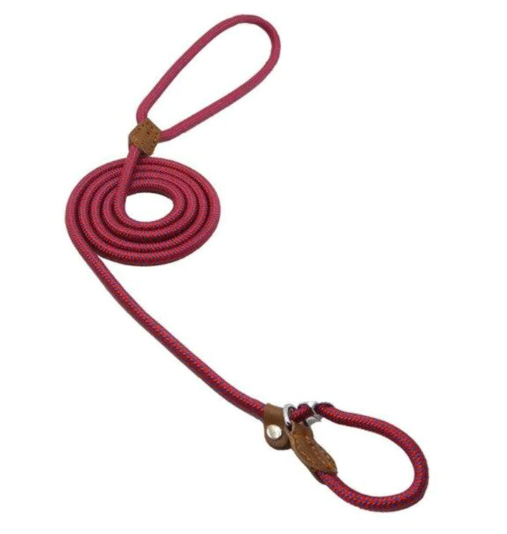 Nylon-Welpen-Set