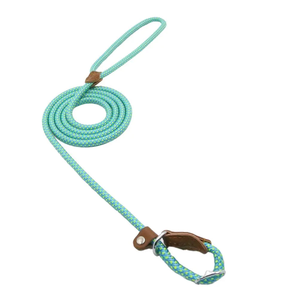 Nylon-Welpen-Set