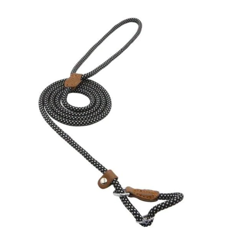 Nylon-Welpen-Set